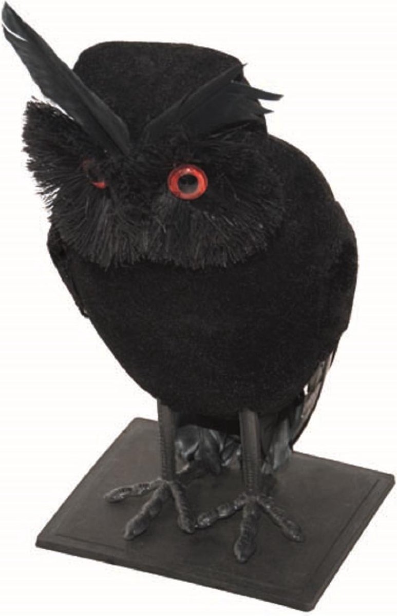 Halloween Uil met Zwarte veren